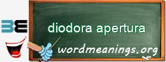 WordMeaning blackboard for diodora apertura